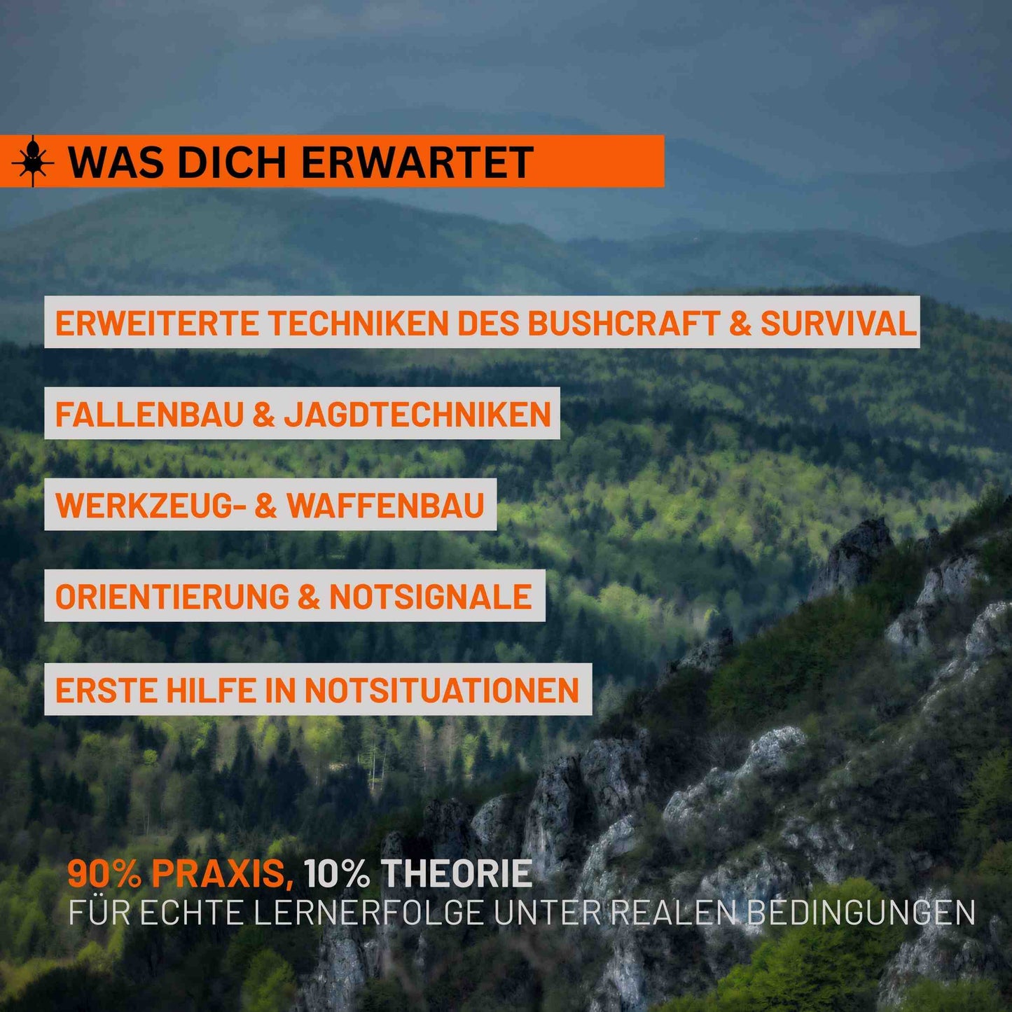 Überleben in der Wildnis (fortgeschritten)