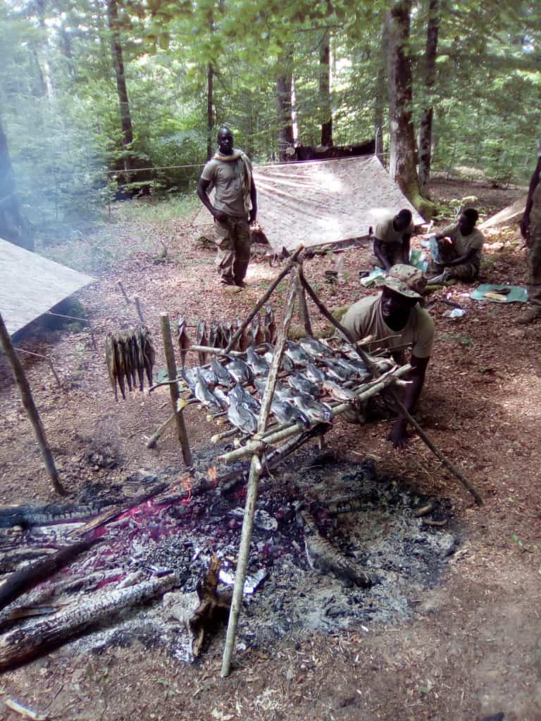 Combat Survival