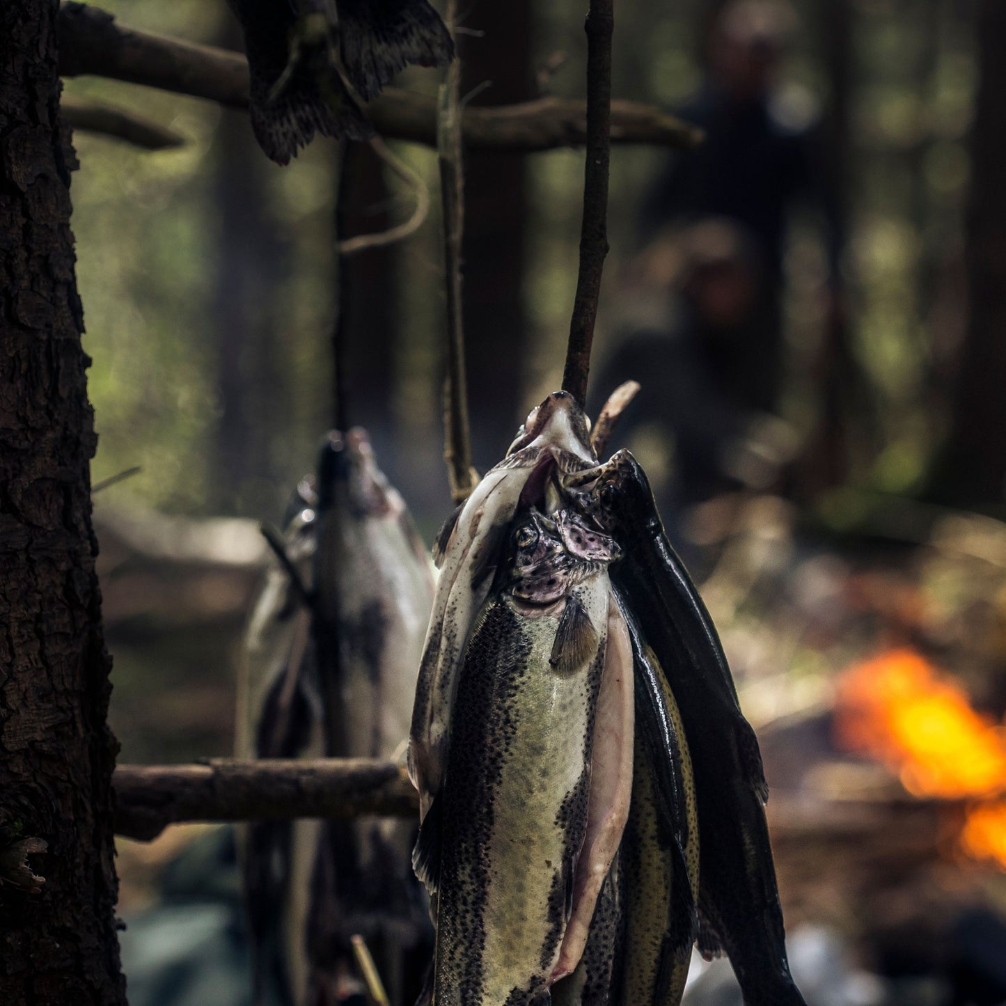 Winter Survival Camp