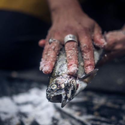 Winter Survival Camp