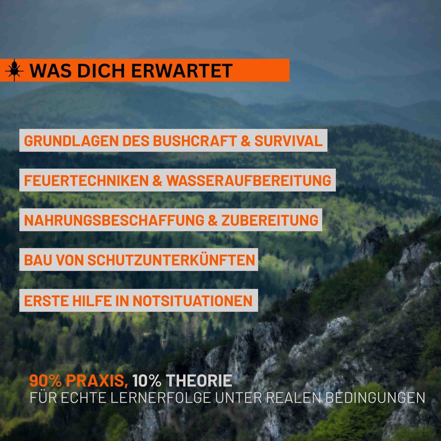 Überleben in der Wildnis